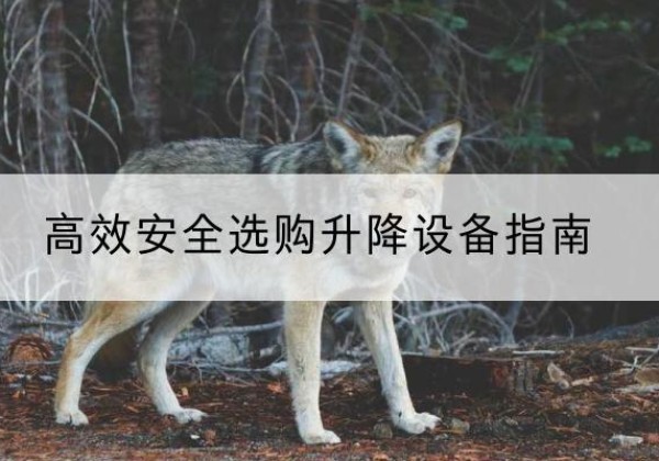 富源升降货梯厂家推荐-*安全选购升降设备指南