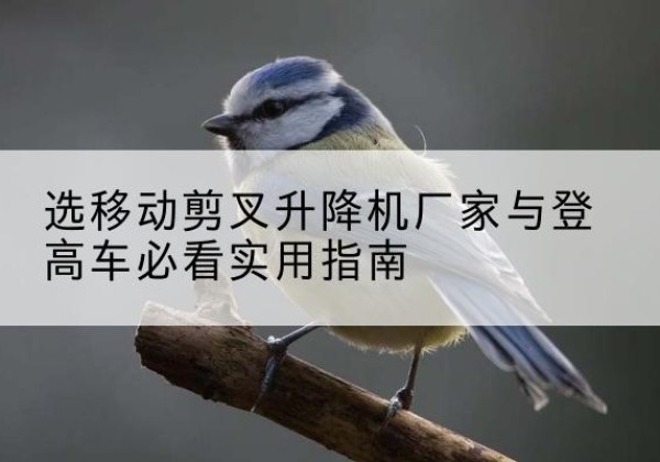 富源电动升降机厂家-选移动剪叉升降机厂家与登高车必看实用指南